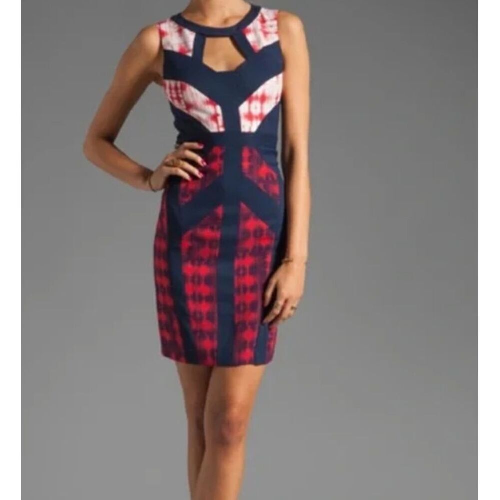 BCBGMaxAzria Avery Colorblock Dress. Arty. Ikat Inspired